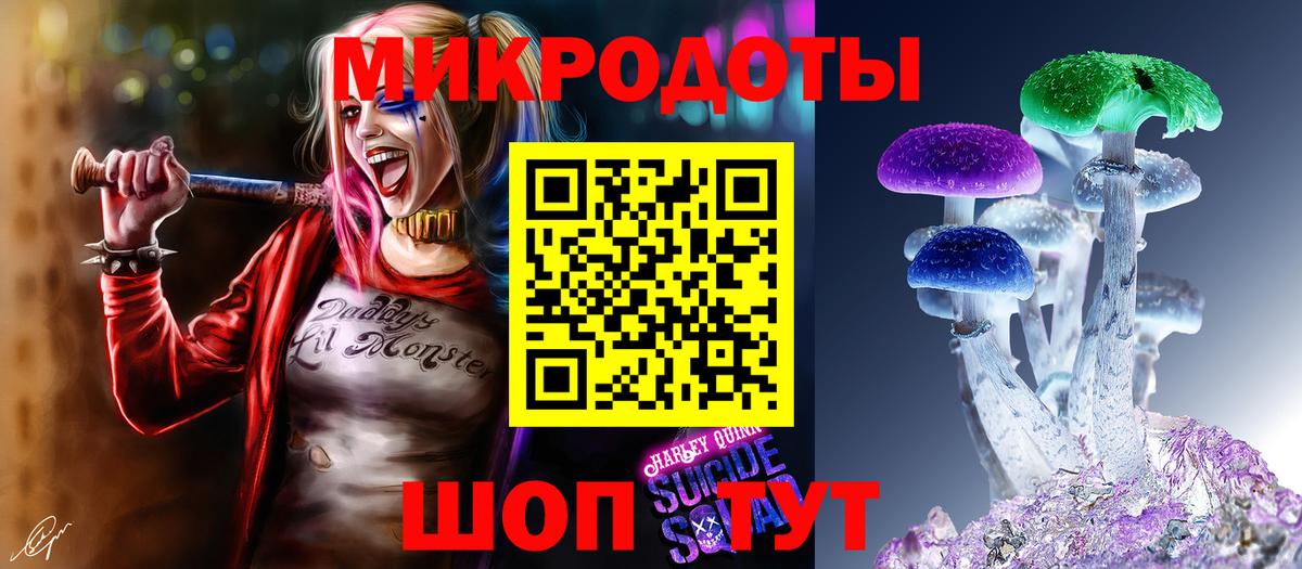 Галлюциногенные грибы прущие грибы Димитровград